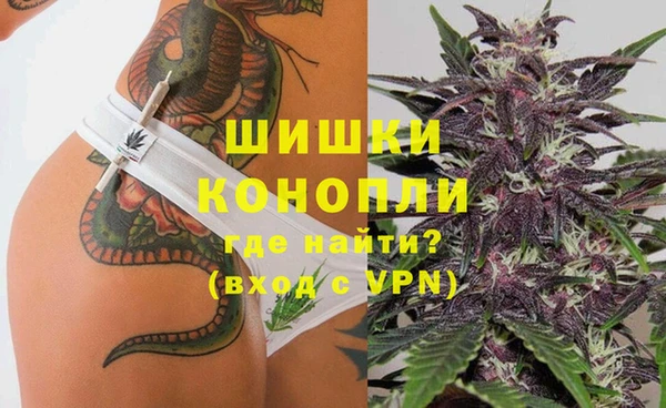 ПСИЛОЦИБИНОВЫЕ ГРИБЫ Видное